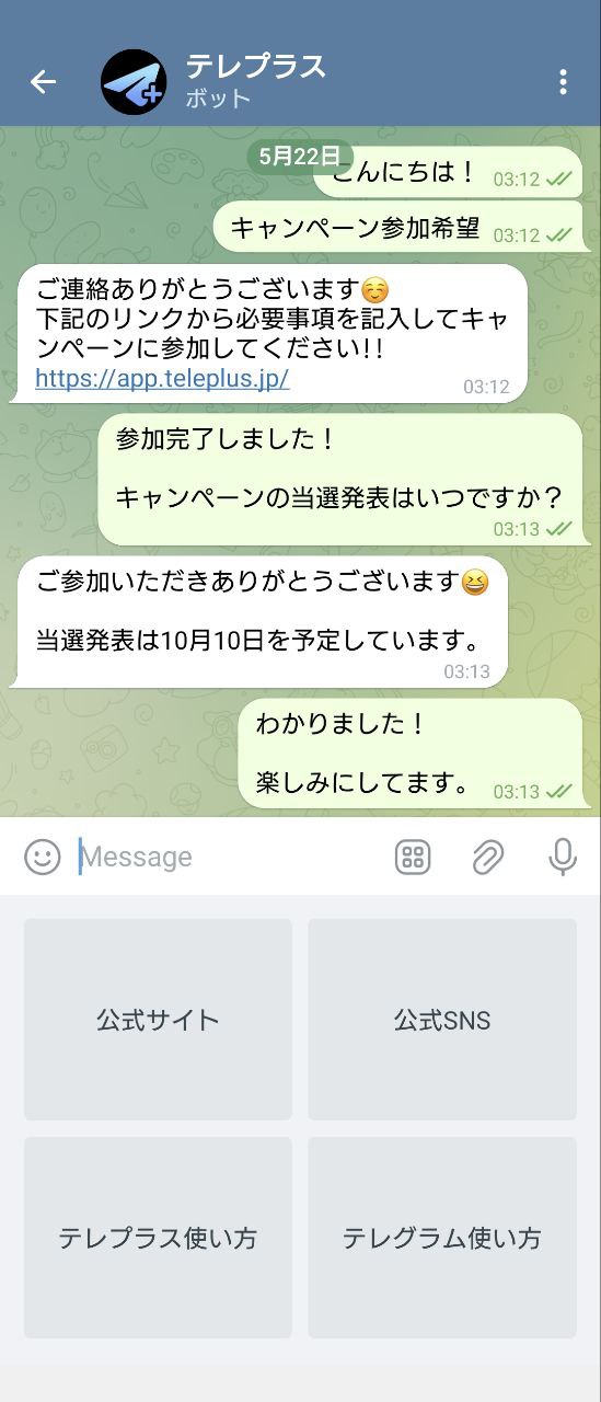 Telegramモバイルチャット画面